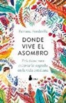 Fabiana Fondevilla - Donde Vive El Asombro