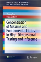 Zhen Gao, Zheng Gao, Stilian Stoev - Concentration of Maxima and Fundamental Limits in High-Dimensional Testing and Inference
