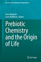 Mcmahon, McMahon, Sean McMahon, Ann Neubeck, Anna Neubeck - Prebiotic Chemistry and the Origin of Life