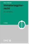 Markus Kaiser, David Rüetschi - Immaterialgüterrecht