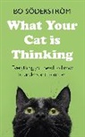 Bo Sderstrm, Bo Soderstrom, Bo Söderström - What Your Cat Is Thinking