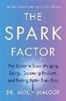 Molly Maloof, MOLLY MALOOF - The Spark Factor