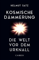 Helmut Satz - Kosmische Dämmerung