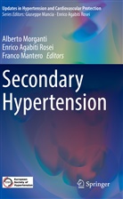 Enric Agabiti Rosei, Enrico Agabiti Rosei, Franco Mantero, Alberto Morganti - Secondary Hypertension