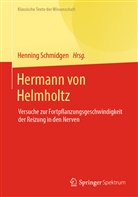 Hennin Schmidgen, Henning Schmidgen - Hermann von Helmholtz