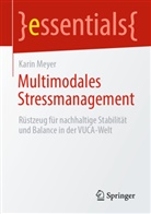 Karin Meyer - Multimodales Stressmanagement