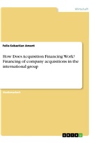 Felix-Sebastian Ament - How Does Acquisition Financing Work? Financing of company acquisitions in the international group