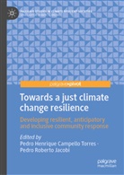 Pedro Henrique Campello Torres, Pedr Henrique Campello Torres, Pedro Henrique Campello Torres, Pedro Roberto Jacobi, Roberto Jacobi, Roberto Jacobi - Towards a just climate change resilience