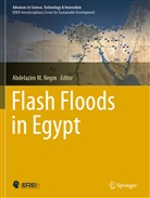 Abdelazi M Negm, Abdelazim M Negm, Abdelazim M Negm, Abdelazim M. Negm - Flash Floods in Egypt