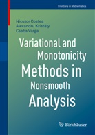 Nicu¿or Costea, Nicuor Costea, Nicuso Costea, Nicusor Costea, Alexandr Kristály, Alexandru Kristály... - Variational and Monotonicity Methods in Nonsmooth Analysis