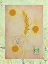 Amy Hale, Caspar Heinemann, Tai Shani - The Neon Hieroglyph