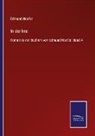 Edmund Hoefer - In der Irre