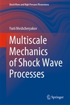Yurii Meshcheryakov - Multiscale Mechanics of Shock Wave Processes