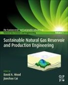 David (Owner/consultant Wood, David A. (Owner/Consultant Wood, Jianchao Cai, Jianchao (Professor Cai, Cai Jianchao, David A. Wood... - Sustainable Natural Gas Reservoir and Production Engineering