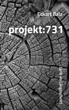 Eckart Balz - projekt: 731