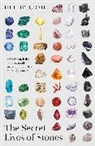HETTIE JUDAH, Hettie Judah, Judah Hettie - The Secret Lives of Stones