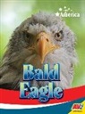 Kaite Goldsworthy - Bald Eagle