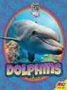 James De Medeiros - Dolphins