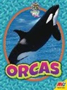 Eric Doty - Orcas