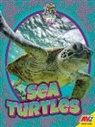 Jared Siemens - Sea Turtles