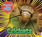 John Willis - Crickets