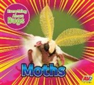 Aaron Carr - Moths
