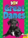 Katie Gillespie - Great Danes