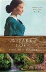 Amanda Cabot - The Spark of Love