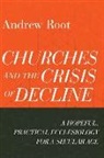 Andrew Root - Churches and the Crisis of Decline – A Hopeful, Practical Ecclesiology for a Secular Age