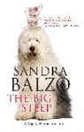 Sandra Balzo, Balzo Sandra - Big Steep