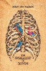 Holly Walrath, Holly Lyn Walrath - The Smallest of Bones