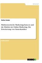 Stefan Gruber - Multisensorische Marketingchancen und die Hürden im Online-Marketing. Die Erweiterung von Sinneskanälen