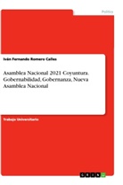 Iván Fernando Romero Calles - Asamblea Nacional 2021 Coyuntura. Gobernabilidad, Gobernanza, Nueva Asamblea Nacional