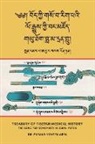 Pasang Yonten Arya - Treasury of Tibetan Medical History (Bod kyi gso ba rig pa'i lo rgyus kyi bang mdzod)