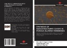 Noelia Bajales Luna, Valeria C. Fuertes, Marcelo A. Salguero Salas - Synthesis of Nanostructured Oxides in Porous Alumina Membranes