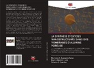 Noelia Bajales Luna, Valeria C. Fuertes, Marcelo A. Salguero Salas - La Synthèse d'Oxydes Nanostructurés Dans Des Membranes d'Alumine Poreuse