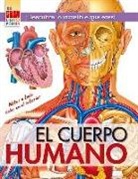 Xact Studio, Xact Studio Inc. - Cuerpo humano