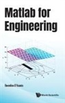 Berardino D'Acunto, Berardino D'Acunto - Matlab For Engineering