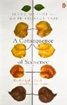 Idayu Maarof - A Consequence of Sequence