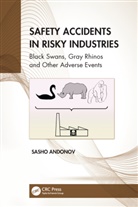 Sasho Andonov, Sasho (Aviation Consultant) Andonov - Safety Accidents in Risky Industries