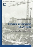 Williams Pokam Kamdem - L'énergie au Cameroun au XXe siècle