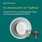 Ipke Wachsmuth - Die Katakaustik im Töpfchen
