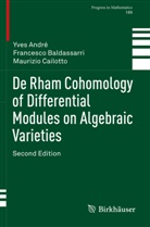 Yve André, Yves André, Francesc Baldassarri, Francesco Baldassarri, Mauri Cailotto, Maurizio Cailotto - De Rham Cohomology of Differential Modules on Algebraic Varieties