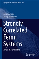 Miro Amusia, Miron Amusia, Vasily Shaginyan - Strongly Correlated Fermi Systems
