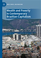 Henrique Pereira Braga, Gustavo Moura de Cavalcanti Mello, Gustav Moura de Cavalcanti Mello, Gustavo Moura de Cavalcanti Mello, Pereira Braga, Pereira Braga - Wealth and Poverty in Contemporary Brazilian Capitalism