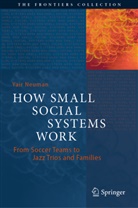 Yair Neuman - How Small Social Systems Work