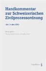 Benedikt Seiler, Thomas Sutter-Somm - Fortsetzungskopf. Handkommentar zum Schweizer Privatrecht: Handkommentar zum Schweizer Privatrecht / Handkommentar zur Schweizerischen Zivilprozessordnung (ZPO)