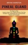 Bryan Hairston, Bryan Hairston - Pineal Gland