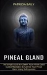 Patricia Baily, Patricia Baily - Pineal Gland