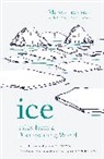 Marco Tedesco, Tedesco Marco - Ice